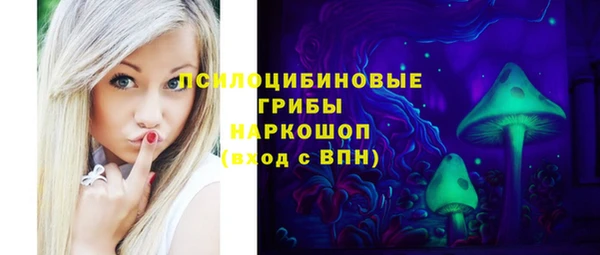 эйфоретик Алзамай