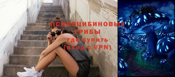 apvp Алексеевка